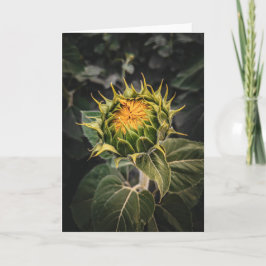 Cartão De Notas Conjunto de Placas de Nota de Vazio 5 x 7