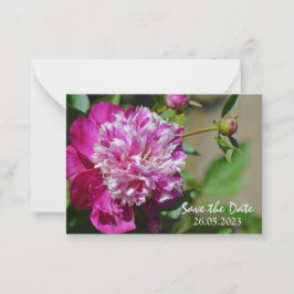 Cartão De Notas Cor-de-Algodão Cor-de-Rosa Flor Salva a Data