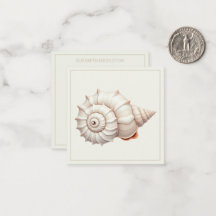 Creme e Tan Coastal Seashell Personalizados