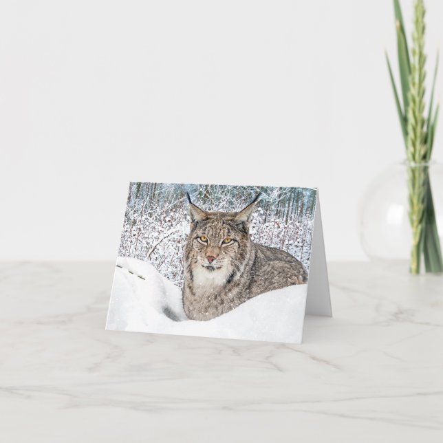 Cartão De Notas "Criança de inverno" (Frente)