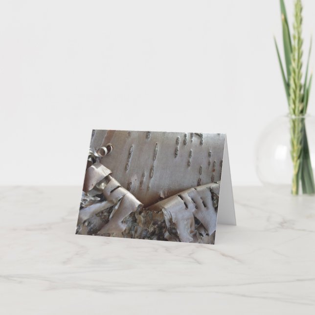 Cartão De Notas Curly Birch Bark Tree Rustic (Frente)