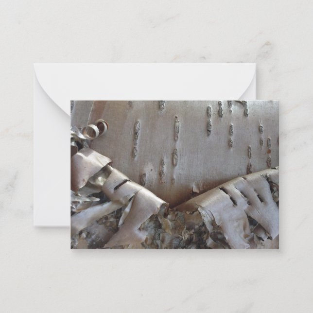 Cartão De Notas Curly Birch Bark Tree Rustic Flat Note Card (Frente)