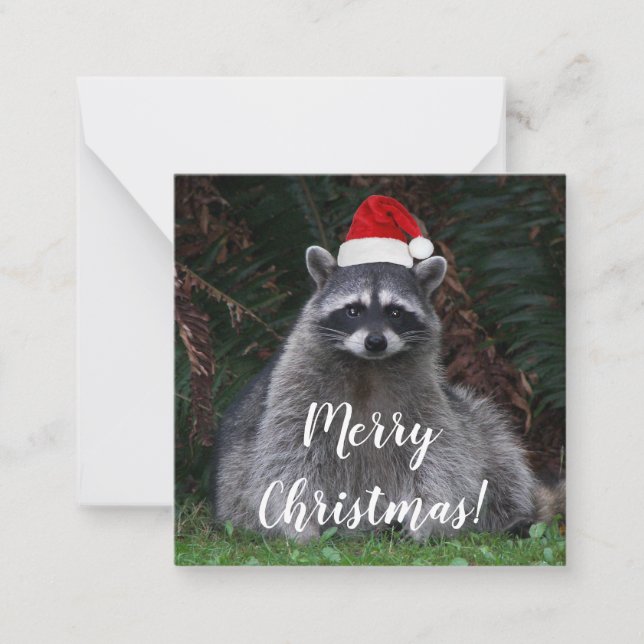 Cartão De Notas Cute Raccoon Vestindo Red Santa Hat (Frente)