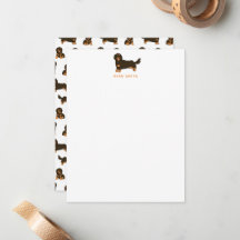 Dachshund de pelo longo