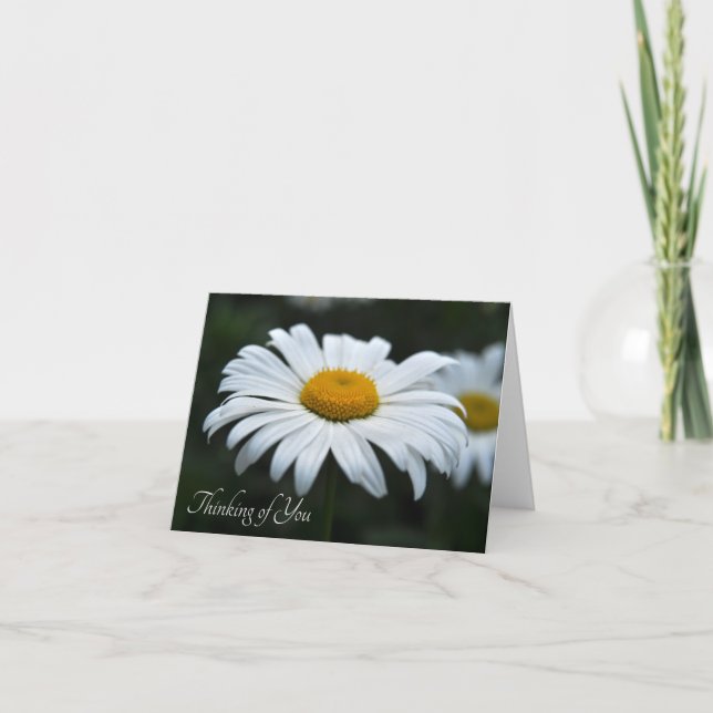 Cartão De Notas Daisy - Enfrentar (Frente)