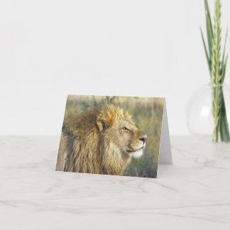 Cartão De Notas Dentro de placa de Lion majestoso com aquarela