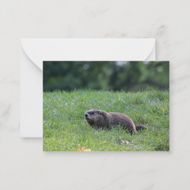 Cartão De Notas Digger de Buraco do Diabo (Frente)