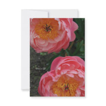 Dois Lindos Peões Rosa