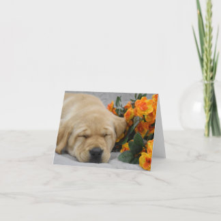 Cartão De Notas Dormir Labrador Puppy com Flores