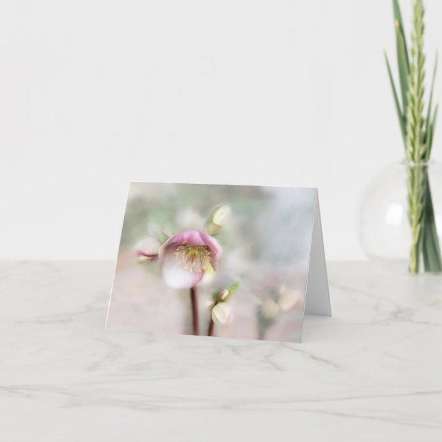 Cartão De Notas Dreamy Helleborus Flower (Frente)