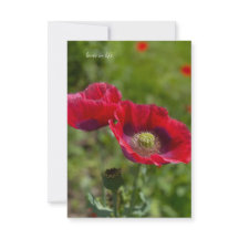 Duas cápsulas Bonito de ópio