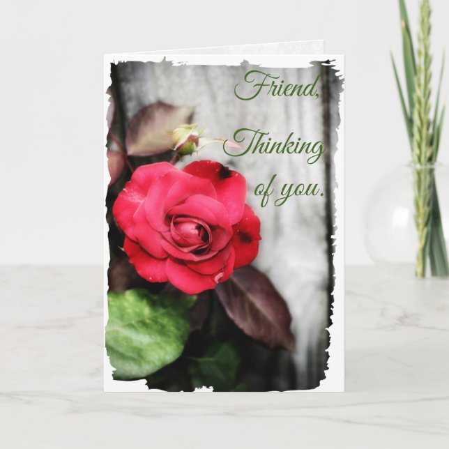 Cartão De Notas Em Seu Amo De Cuidados (Frente)