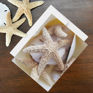 Cartão De Notas Estrelas-do-mar e Dólares de Areia Fotografias de