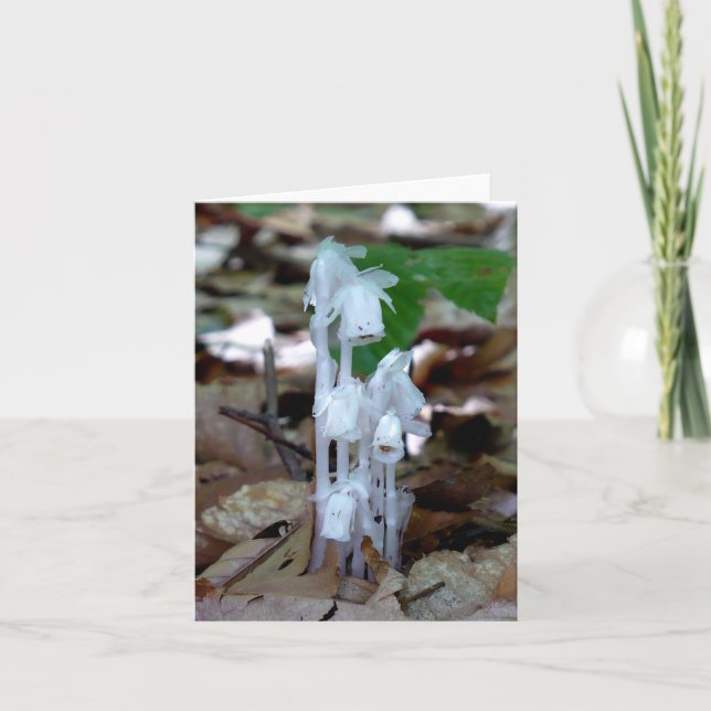 Cartão De Notas Fábrica Fantástica Branca (Frente)