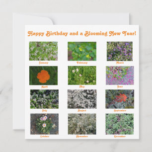 Cartão De Notas Feliz Aniversário e Um Ano Novo!