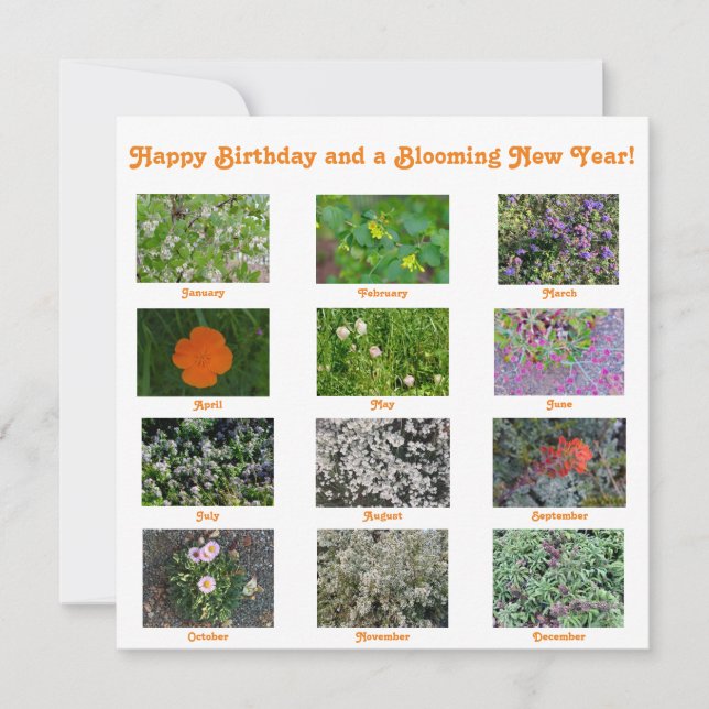 Cartão De Notas Feliz Aniversário e um Ano Novo Florido! (Frente)