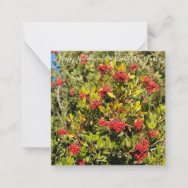 Cartão De Notas Feliz Férias da Califórnia!