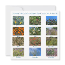 Feliz Natal e um Ano Novo Pacífico!