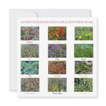 FÉRIAS FELIZES E UM ANO NOVO SAUDÁVEL!