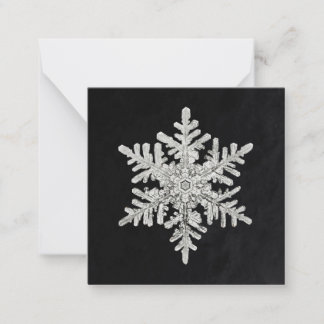 Cartão De Notas Floco de neve de Wilson Bentley