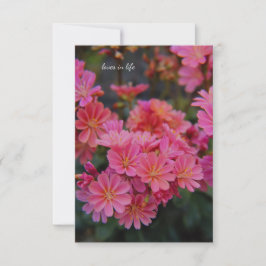 Cartão De Notas Flores bonito de Jardim Rosa