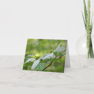 Cartão De Notas Flores de Dogwood Personalizadas