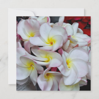 Cartão De Notas Flores de Plumeria de Bordas Rosadas – Nota Tropic