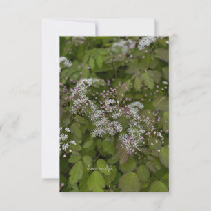 Cartão De Notas Flores de Verão Brancas Delicadas