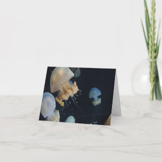 Cartão de Notas Folha Dupla