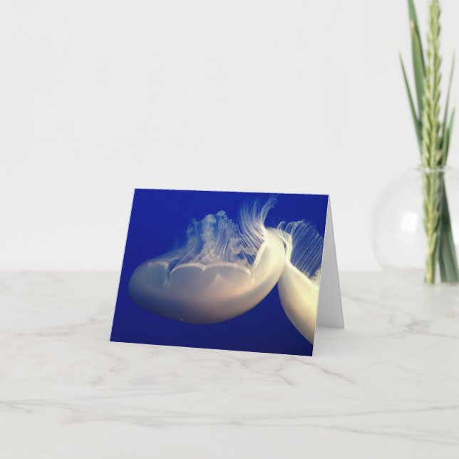 Cartão de Notas Folha Dupla (Frente)