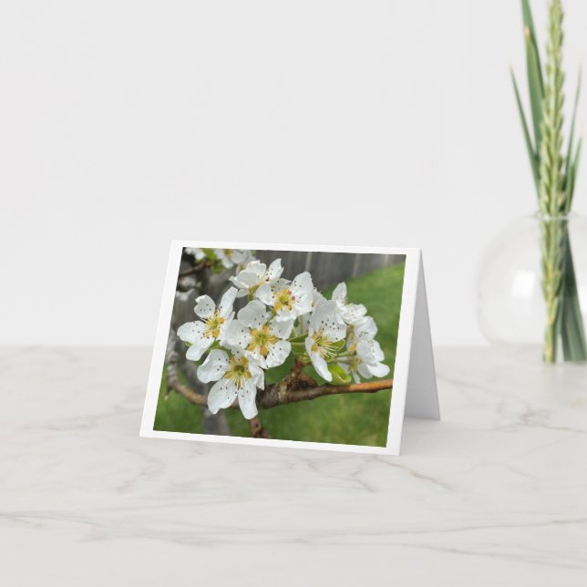 Cartão de Notas Folha Dupla (Frente)