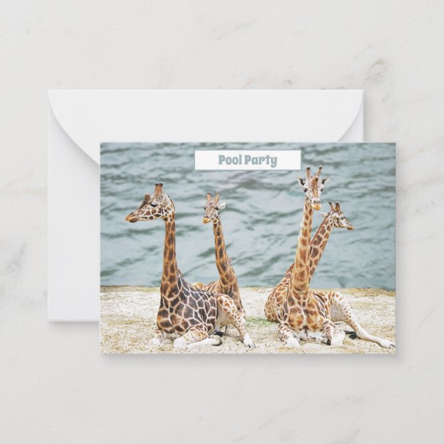 Cartão De Notas Foto de Diversão em Água de Giraffe - Quatro Festa (Frente)