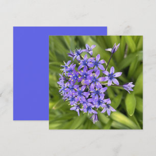 Cartão De Notas Foto de Natureza de Aproximação das Flores de Lula