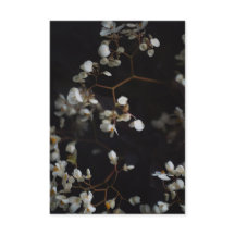Foto floral elegante e nome personalizado