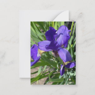 Cartão De Notas Fotografia da Flor de Íris Roxa