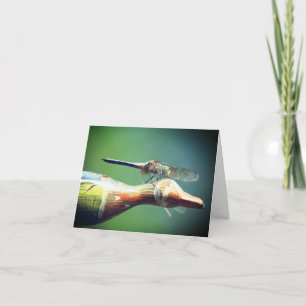 Cartão De Notas Fotografia da Natureza Libélula Co-Piloto