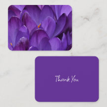 Fotografia de Crocus de Primavera