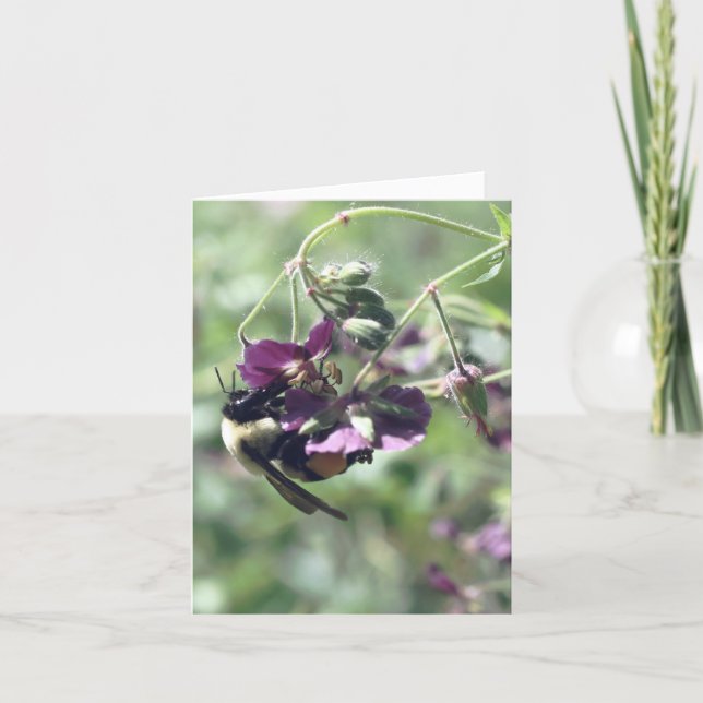 Cartão De Notas Fotografia de Flor com Abelha com Pólen (Frente)