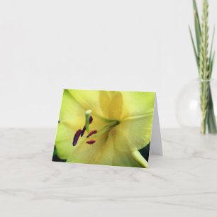 Cartão De Notas Fotografia de Flor de Lírio Amarelo Pálido