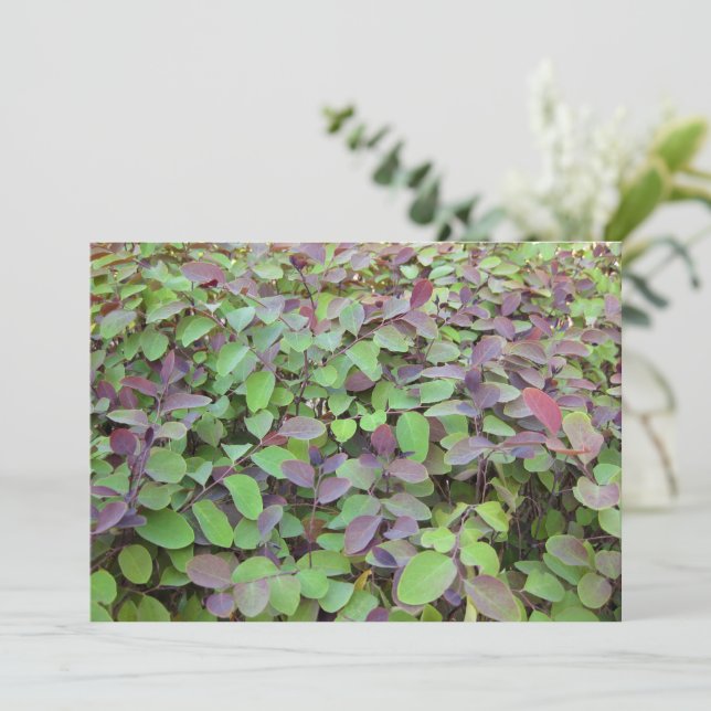 Cartão De Notas Fotografia de Folhas Vermelhas e Verdes (Em pé/Frente)