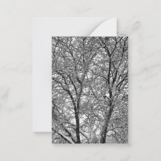 Cartão De Notas Fotografia de Galhos de Árvore na Neve de Inverno