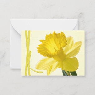Cartão De Notas Fotografia Floral de Fecho do Daffodil Primavera a