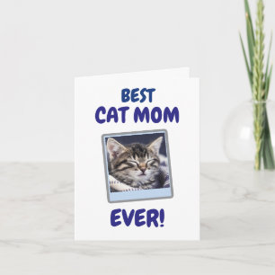 CARTÃO DE NOTAS GATA MÃE MÃE SEMPRE PET AMOR DIA DAS MÃES CÃO 