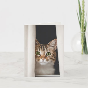 Cartão De Notas Gatinho Em Uma Cortina