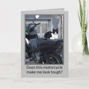 CARTÃO DE NOTAS GATO DE MOTOCICLETA / HUMOR