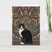 Gato Mágico