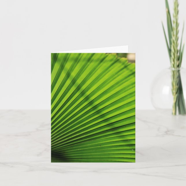 Cartão De Notas Giant Palm Leaf Pattern (Frente)