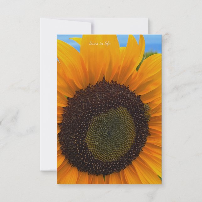 Cartão De Notas Girassol, abelha e céu (Frente)