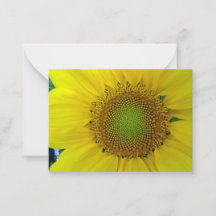 Girassol e Sementes, Espiral, Razão Áurea