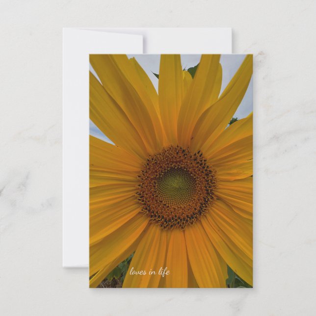 Cartão De Notas Girassol pequeno (Frente)